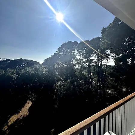 Noëveillard à Pied Pornic