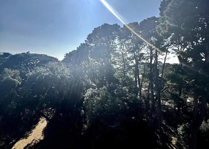 Noëveillard à Pied