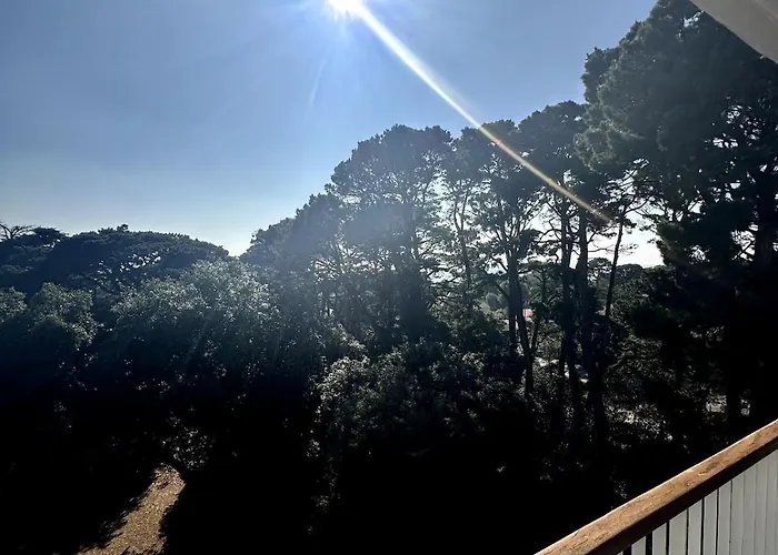 Noëveillard à Pied Pornic