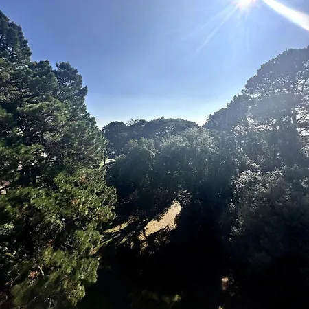 Apartment Noeveillard A Pied